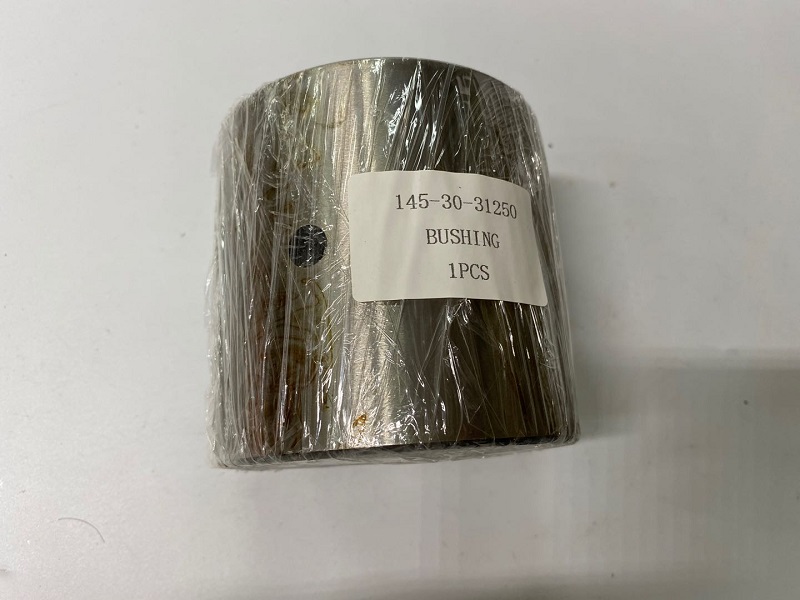 145-30-31250 BUSHING